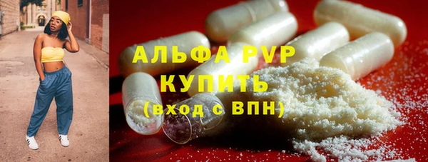 прущие крисы Киренск