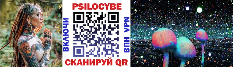 Купить  Высоковск  Галлюциногенные грибы Psilocybine cubensis 