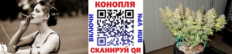 Марихуана OG Kush  Купить  Высоковск 